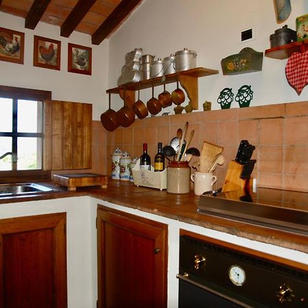 Appartamento Con Patio Privato E Giardino Tra Pisa E Firenze 팔라야 외부 사진