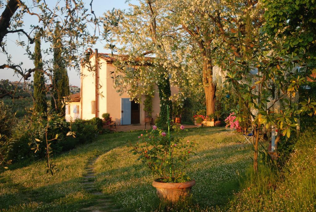 Appartamento Con Patio Privato E Giardino Tra Pisa E Firenze 팔라야 객실 사진
