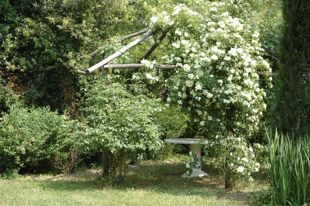 Appartamento Con Patio Privato E Giardino Tra Pisa E Firenze 팔라야 외부 사진