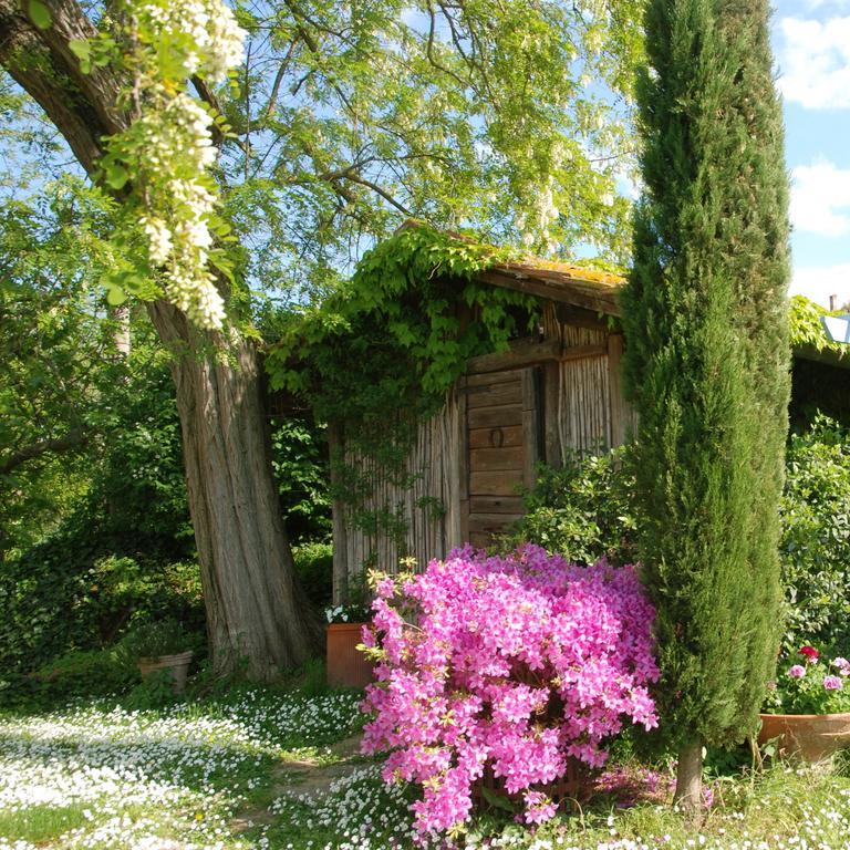 Appartamento Con Patio Privato E Giardino Tra Pisa E Firenze 팔라야 외부 사진