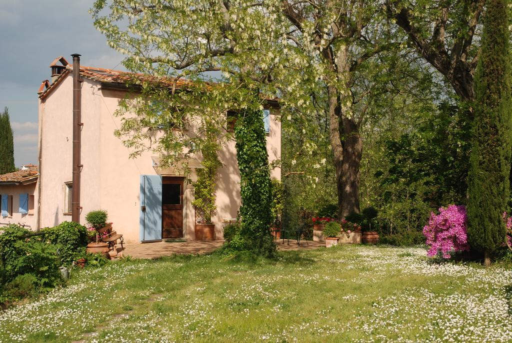 Appartamento Con Patio Privato E Giardino Tra Pisa E Firenze 팔라야 객실 사진