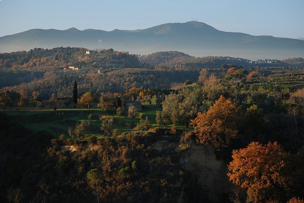Appartamento Con Patio Privato E Giardino Tra Pisa E Firenze 팔라야 외부 사진