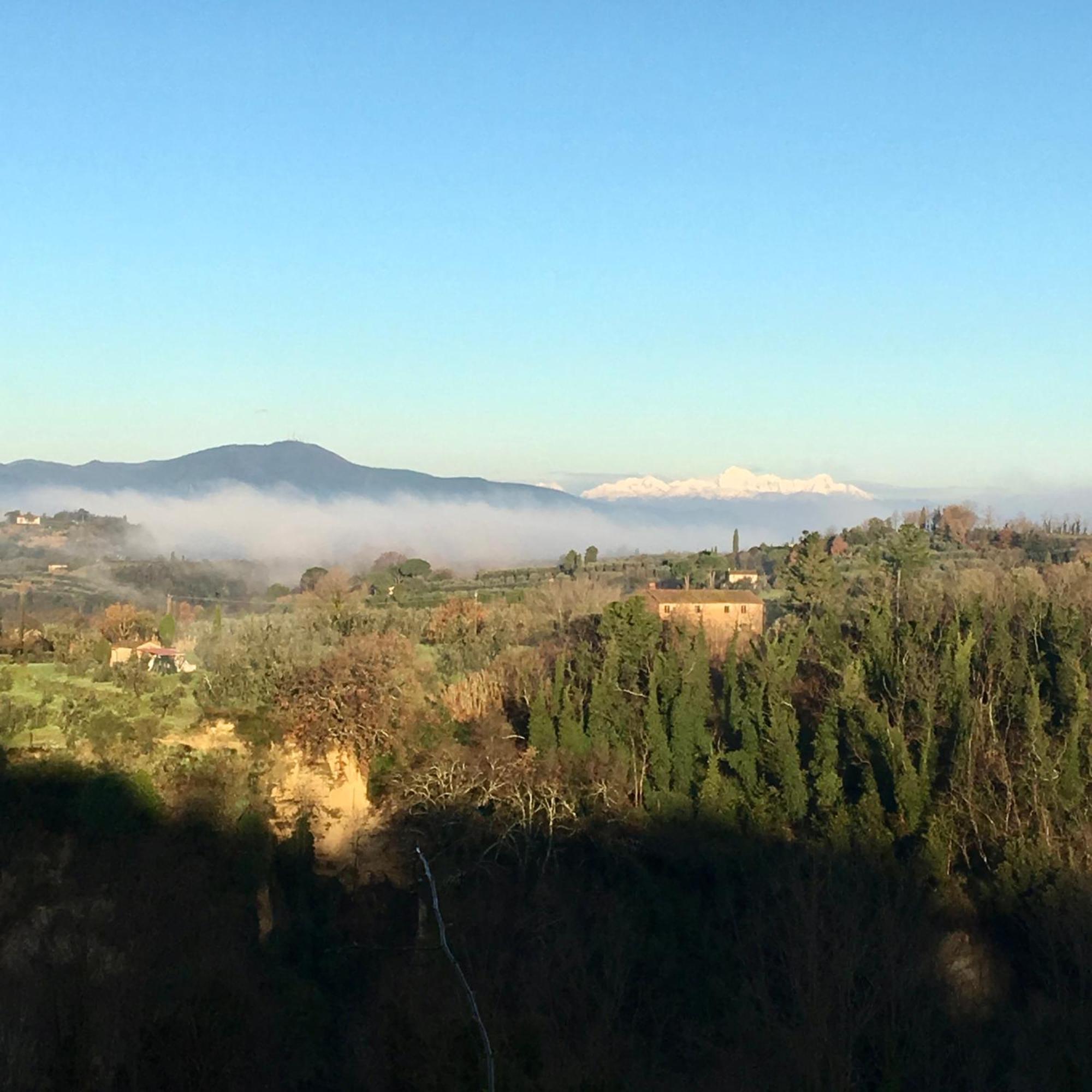 Appartamento Con Patio Privato E Giardino Tra Pisa E Firenze 팔라야 외부 사진