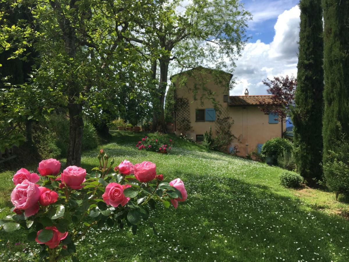 Appartamento Con Patio Privato E Giardino Tra Pisa E Firenze 팔라야 외부 사진
